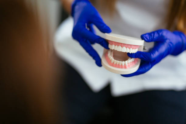  Marietta Alderwood, WA Holistic Dental Services Pros